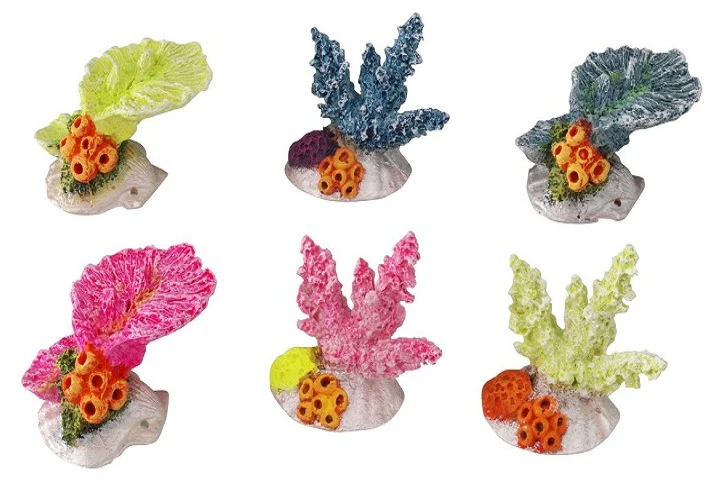 Europet Exp. 12 Mini Coraux 4 Europet Exp. 12 Mini Coraux – Image 2