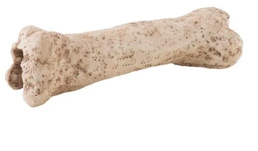 Exo Terra Refuge Dino Os Nano 3 Exo Terra Refuge Dino Os Nano