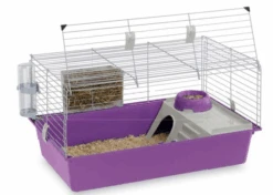 Ferplast Cage Pour Cochons D'Inde Cavie 80 22 Ferplast Cage Pour Cochons D'Inde Cavie 80 -Magasin De Fournitures Pour Animaux De Compagnie 115988 cavie 2