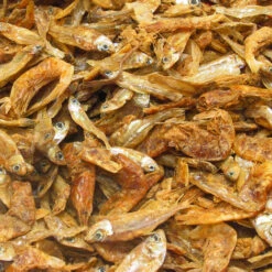 JBL Energil -Magasin De Fournitures Pour Animaux De Compagnie 14986 7002 3