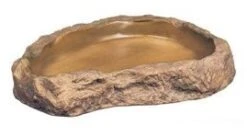 Exo Terra Auge Taille Moyenne