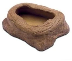 Exo Terra Auge Pour Insecte