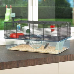 Ferplast Cage Favola Pour Hamsters Et Souris -Magasin De Fournitures Pour Animaux De Compagnie 3 0190017555 ff5aeea2 94c7 49b5 9dfe 256b5118f139 1800x1800 63aed0f9225d4