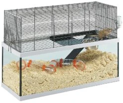 Ferplast Cage En Verre Pour Gerbilles De Gabry -Magasin De Fournitures Pour Animaux De Compagnie 429727 1 0180012216 1800x1800 3