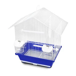 Trixie Cage Des Oiseaux Dominicains Bleus