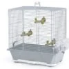 Savic Cage Oiseau Primo 30 -Magasin De Fournitures Pour Animaux De Compagnie 44495 5411388550615 1
