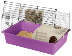 Ferplast Cage Pour Cochons DInde Cavie 15 Colour -Magasin De Fournitures Pour Animaux De Compagnie 45545 8010690054650 1