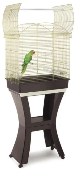 Imac Cage Oiseaux Calla
