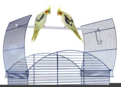 Imac Cage Oiseaux Calla -Magasin De Fournitures Pour Animaux De Compagnie 47471 calla 1