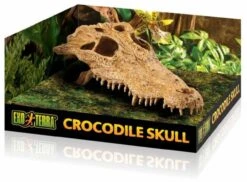 Exo Terra Crocodile Skull 9 Exo Terra Crocodile Skull -Magasin De Fournitures Pour Animaux De Compagnie 48602 15561228565 1