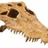 Exo Terra Crocodile Skull -Magasin De Fournitures Pour Animaux De Compagnie 48602 15561228565 2