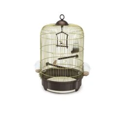 Imac Cage D'oiseaux En Or Et Brun