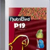 VERSELE-LAGA Versele Laga Nutribird P19 Tropical -Élevage