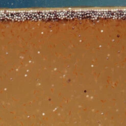 JBL Artemiopur -Magasin De Fournitures Pour Animaux De Compagnie 55622 62e28f627ec8c