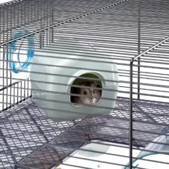 Ferplast Cage Favola Pour Hamsters Et Souris -Magasin De Fournitures Pour Animaux De Compagnie 6 0190017552 8d4b917c 1f3e 40c0 8ca5 15c4dc71b205 1800x1800 63aed0ffcd34d