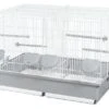 Voltrega Cage Élevage 320 Blanche 58,5x36x41 Cm 2 Voltrega Cage Élevage 320 Blanche 58,5x36x41 Cm -Magasin De Fournitures Pour Animaux De Compagnie 63146 8429886000225 1