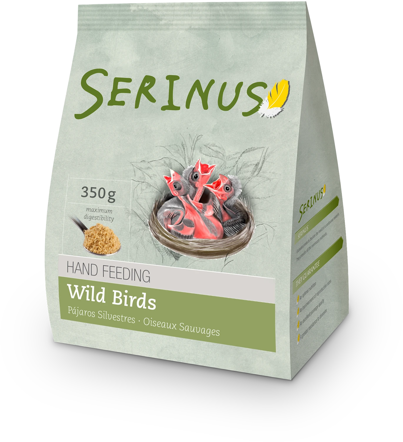 Serinus Bouillie Sauvages 3 Serinus Bouillie Sauvages