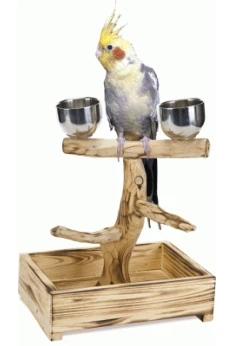 Sandimas Perche Arbre S/M