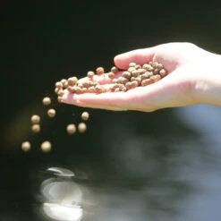 JBL Propond All Seasons S -Magasin De Fournitures Pour Animaux De Compagnie 82824 61fd112458d88