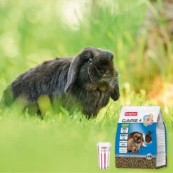 Beaphar Care + Lapin Senior -Magasin De Fournitures Pour Animaux De Compagnie 8711231184545 4