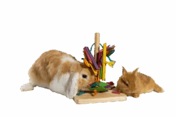 Cunipic Jouet Arbre De Jeu -Magasin De Fournitures Pour Animaux De Compagnie ARBOL JUGUETE2 634d79611feea