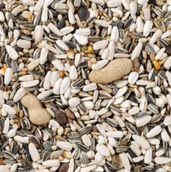 Deli Nature Parrots 5 Deli Nature Parrots -Magasin De Fournitures Pour Animaux De Compagnie DeliNature 60 Papegaai Basis 2 63c501fde5ba5