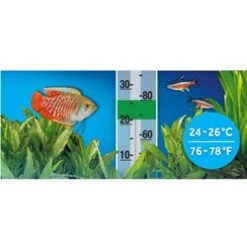 Fluval Série P10 Chauffe 11 Fluval Série P10 Chauffe -Magasin De Fournitures Pour Animaux De Compagnie Fluval A743 P10PreSetAquariumHeater B3 Int 64a850279eff8