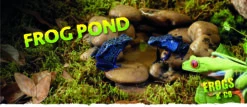 Exo Terra Étang à Grenouilles 9 Exo Terra Étang à Grenouilles -Magasin De Fournitures Pour Animaux De Compagnie Frog Pond Banner 64625aabd938e