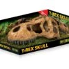 Exo Terra Grotte T-Rex Skull