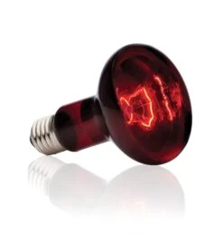 Exo Terra Ampoule Infrarouge Basking Spot