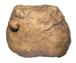 Exo Terra Auge Distributeur De Crickets