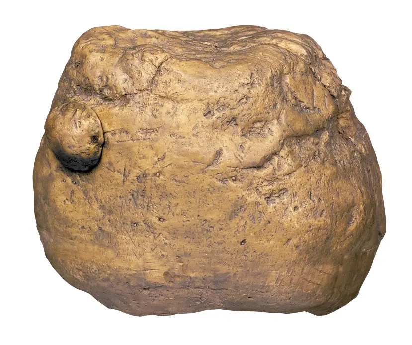 Exo Terra Auge Distributeur De Crickets