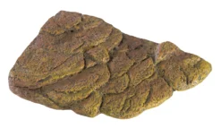 Exo Terra Isla Flottant Pour Tortue Magnétique