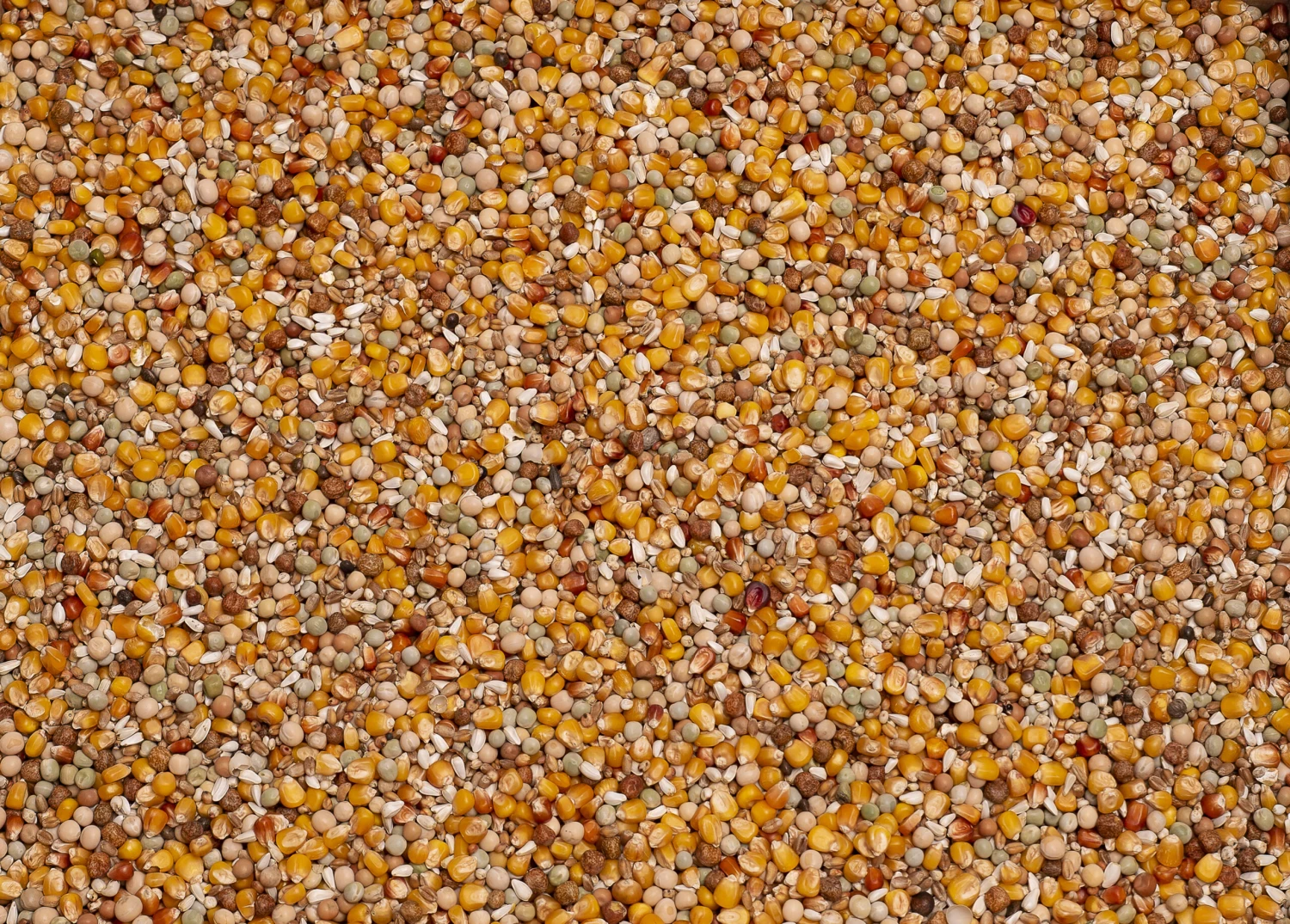 Beyers Original Sport 4 Beyers Original Sport – Image 2