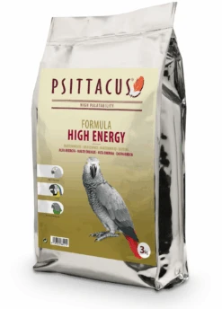 Psittacus Haute énergie