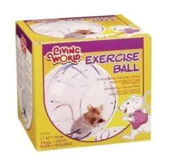 Living World Boule DExercice Petite Taille
