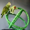 Hari Smart Play Orbiting Swing Hanger -Magasin De Fournitures Pour Animaux De Compagnie juguetes hari de enriquecimiento para pajaros