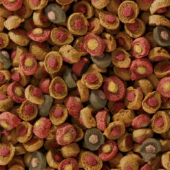 Sera Koi All Seasons Probiotic -Magasin De Fournitures Pour Animaux De Compagnie koi all seasons probiotic 4