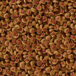 Sera Koi Professional Aliment Pour Été 16 Sera Koi Professional Aliment Pour Été -Magasin De Fournitures Pour Animaux De Compagnie koi professional alimento para verano 7