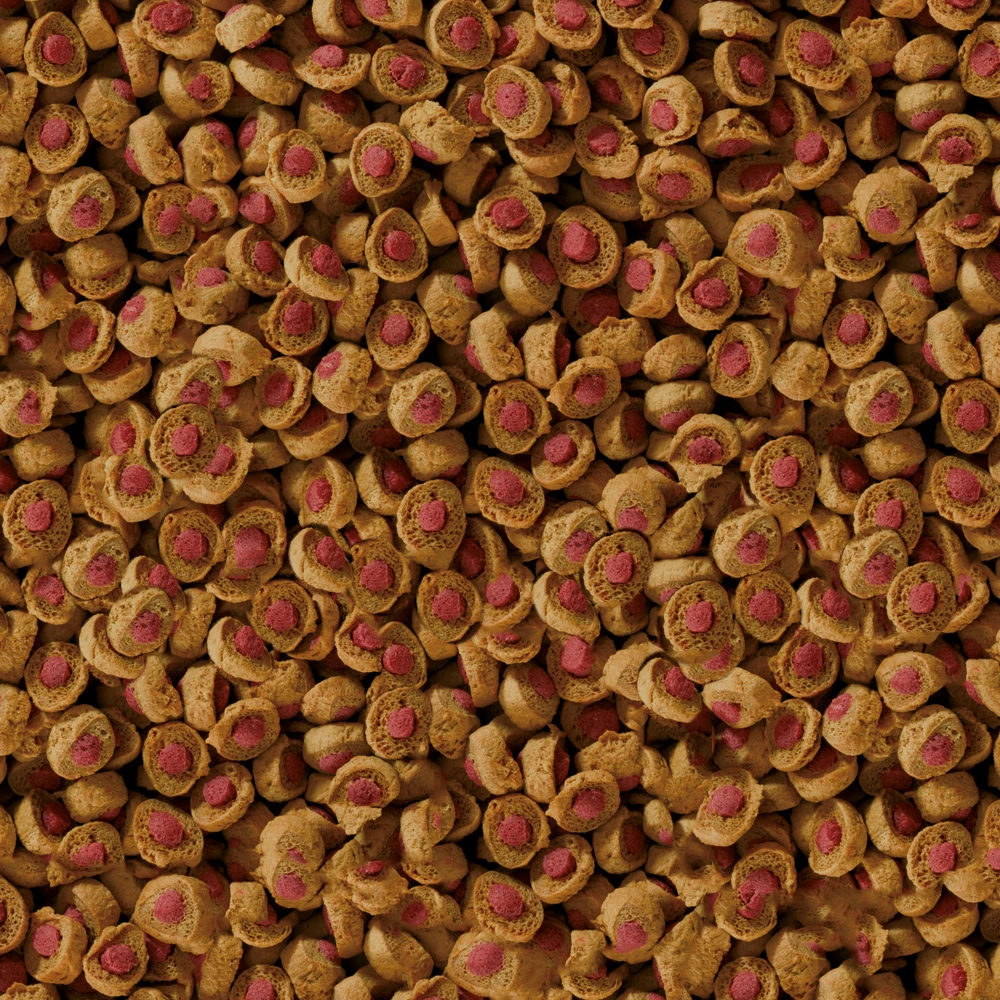 Sera Koi Professional Aliment Pour Été 9 Sera Koi Professional Aliment Pour Été – Image 7