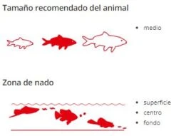 Sera Koi Royal Medium -Magasin De Fournitures Pour Animaux De Compagnie koi royal medium 5