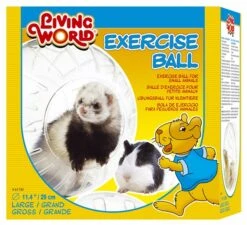 Living World Boule DExercice Petite Taille -Magasin De Fournitures Pour Animaux De Compagnie l w bola para huron gde 49 1 2 4