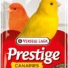 VERSELE-LAGA Versele Laga Mélange De Graines Pour Canaris Prestige -Magasin De Fournitures Pour Animaux De Compagnie mezcla de semillas para canarios prestige 1