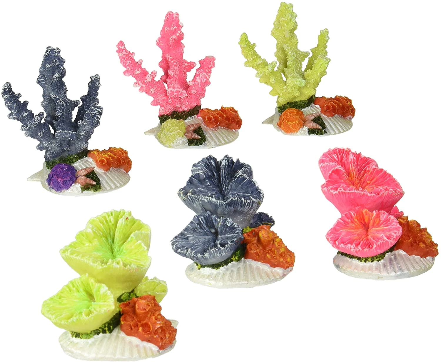 Europet Exp. 12 Mini Coraux 3 Europet Exp. 12 Mini Coraux