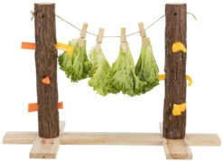 Trixie Natural Living Duo Natural Food Tree -Magasin De Fournitures Pour Animaux De Compagnie natural living duo arbol para comida natural 4