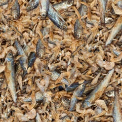 Sera Raffy Royal -Magasin De Fournitures Pour Animaux De Compagnie reptil raffy royal nature 3