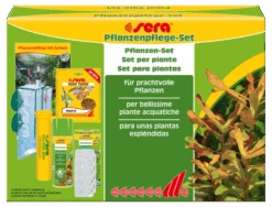 Sera Set Pour Des Plantes Splendides