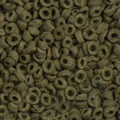 Sera Corps Abreuvoir Mixte Mini Lapins Avec Tapon -Magasin De Fournitures Pour Animaux De Compagnie turtle adult nature 2